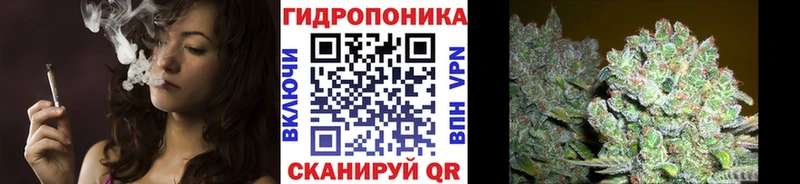 Купить закладку Выборг A-PVP  МЕФ  Метадон  Марихуана 