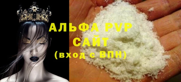 ECSTASY Богданович