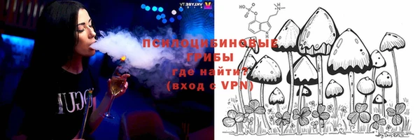 стафф Богородицк