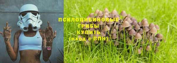бутират Богородск