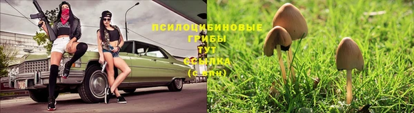 стафф Богородицк