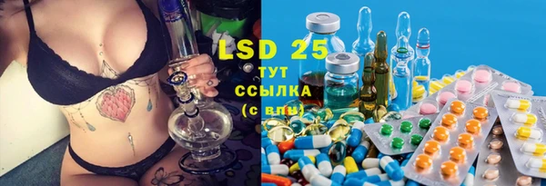 стафф Богородицк