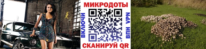 Псилоцибиновые грибы Magic Shrooms  мега   Выборг 